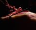 Picture of Pata Negra Bellota 36 maanden - CORTADOR Handcut