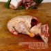 Picture of Wild duck