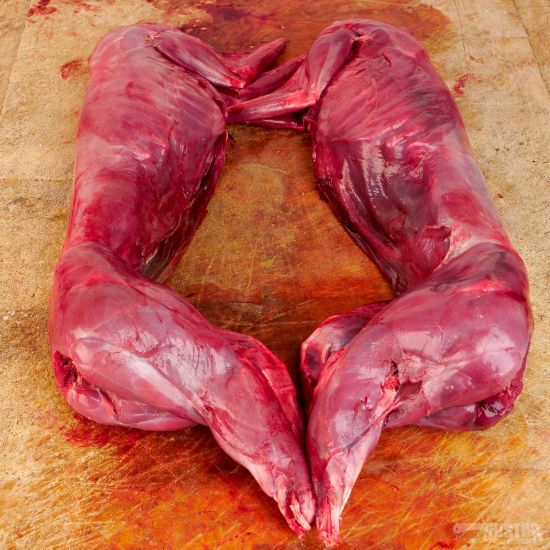 Picture of Hare, whole